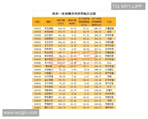 南京排球队灵活性排名创新高引发热议展现团队卓越实力与潜力