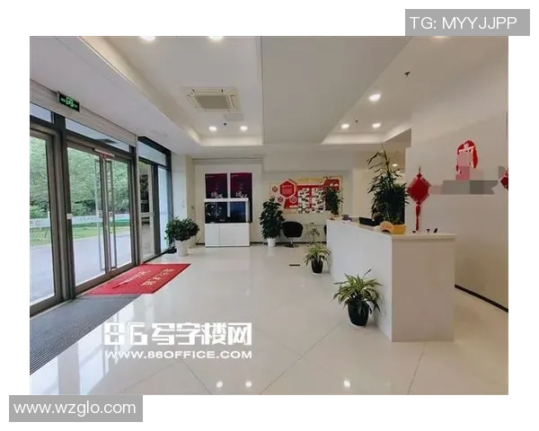 探索boss汇足球教练的成功之道与团队管理智慧